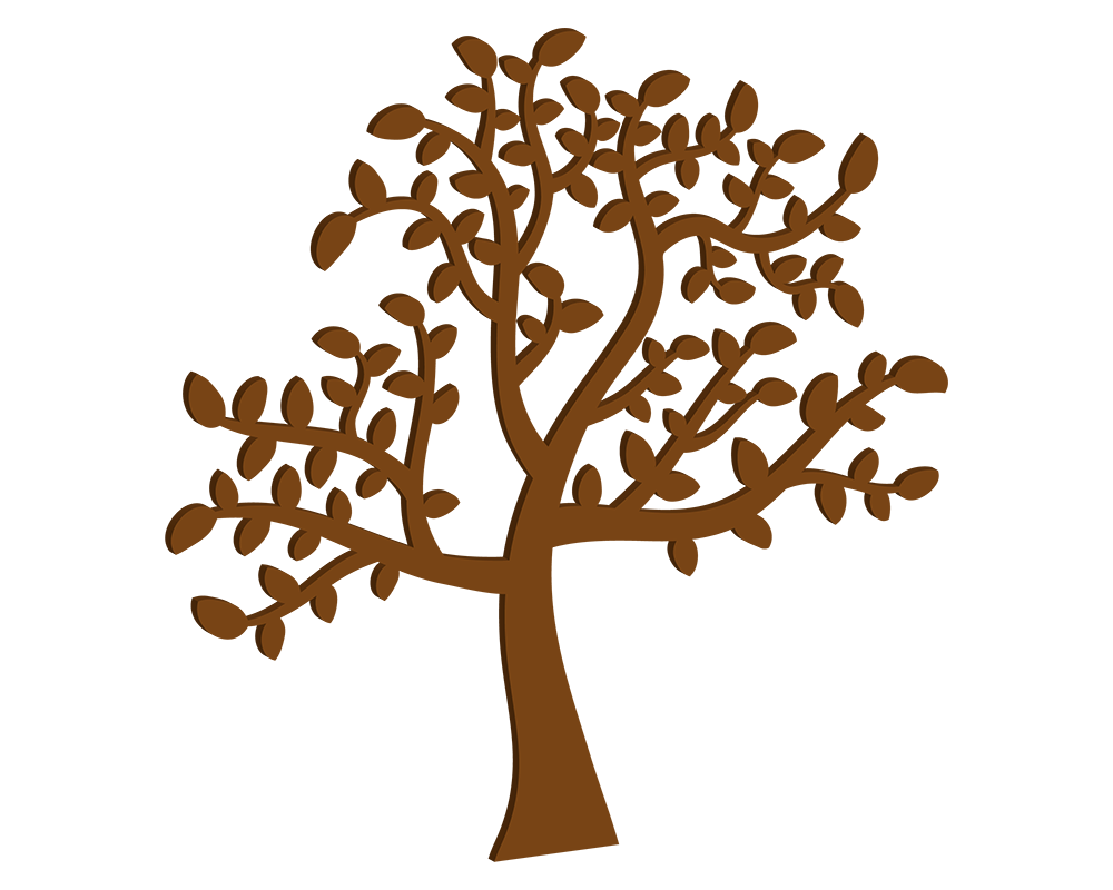 MDF Family Tree