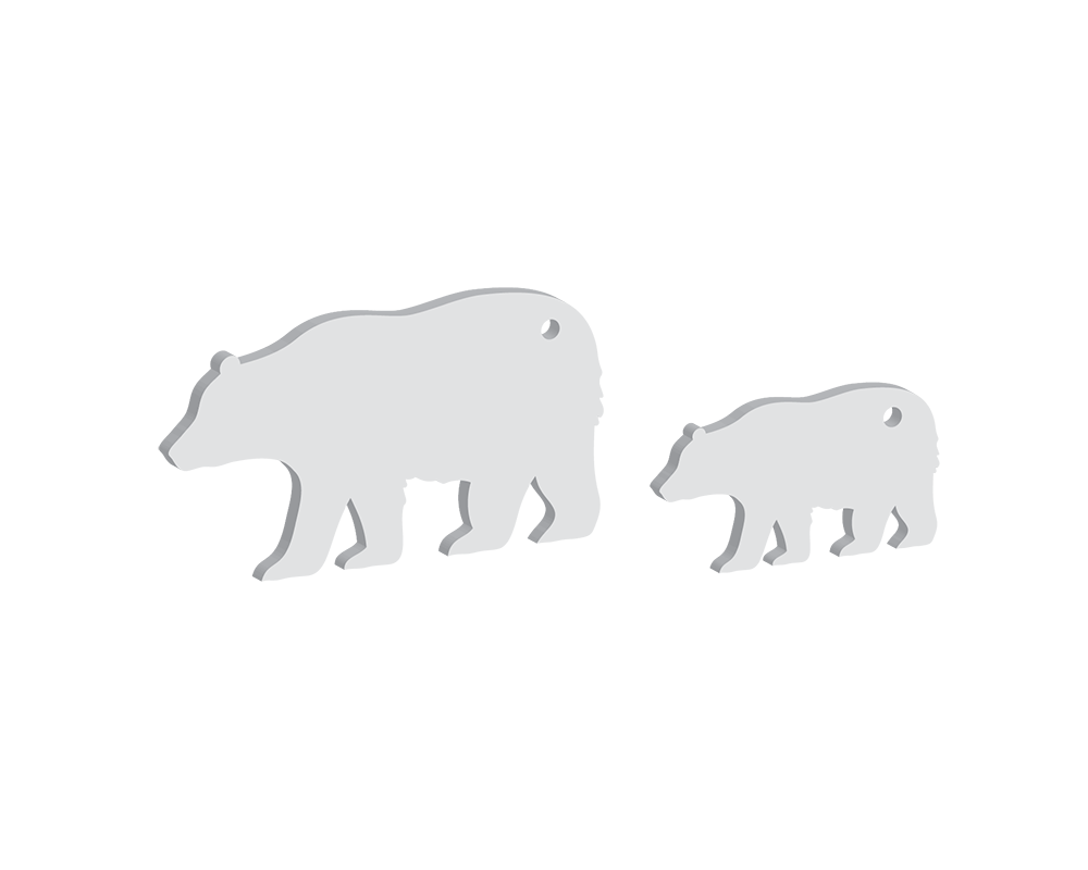 Large & Small Bear Keyring Pack (5 Sets)