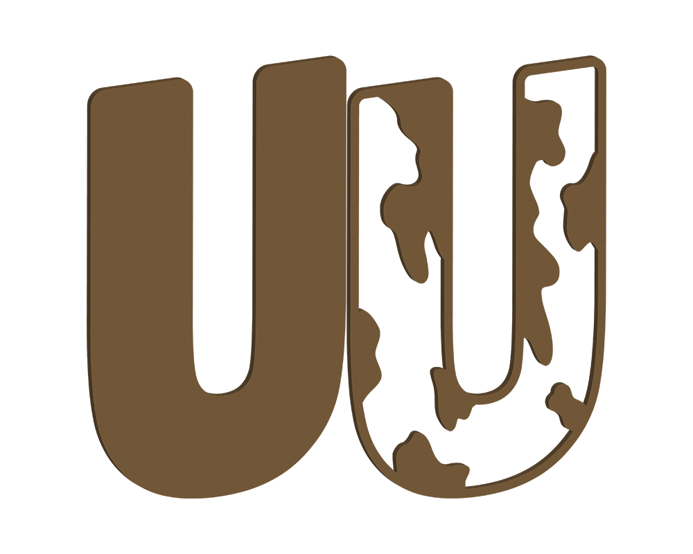 MDF Cow Themed Letters