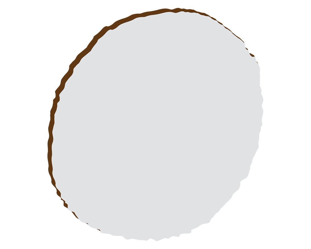 100mm Wood Slice Coaster