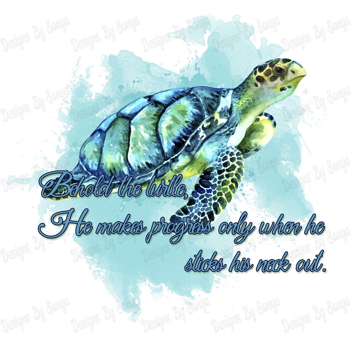 Behold The Turtle