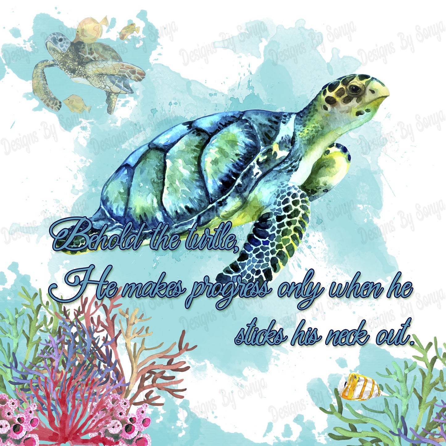 Behold The Turtle