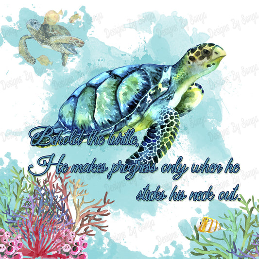 Behold The Turtle