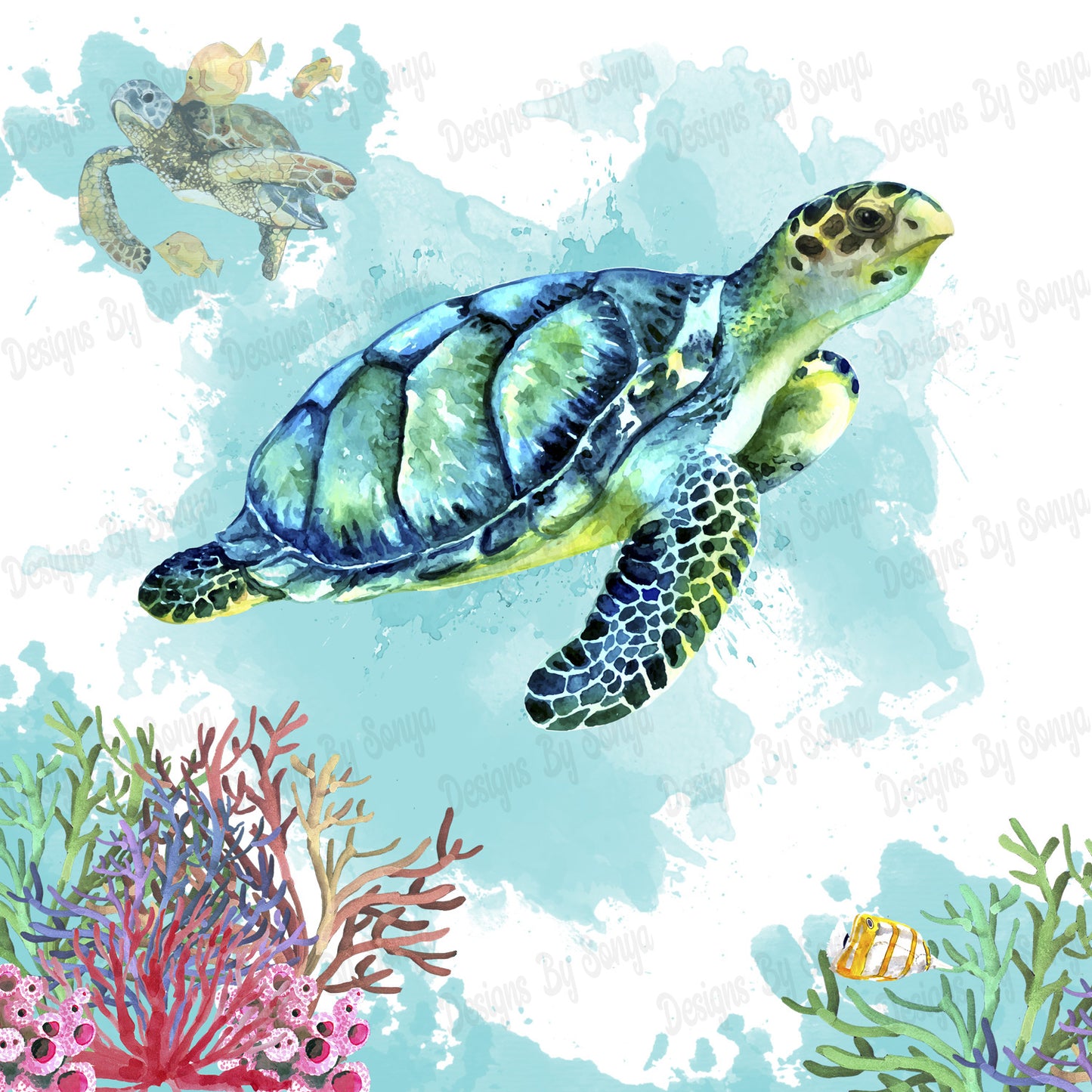 Behold The Turtle