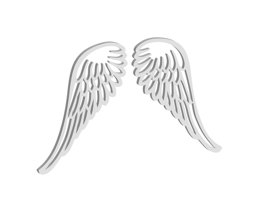 Acrylic Wings (Pair)